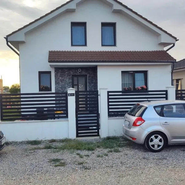 SIL House,位于Sîntandrei的酒店
