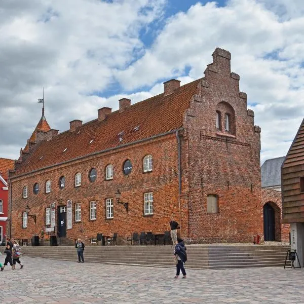 Birksø Hotels Ribe，位于里伯的酒店