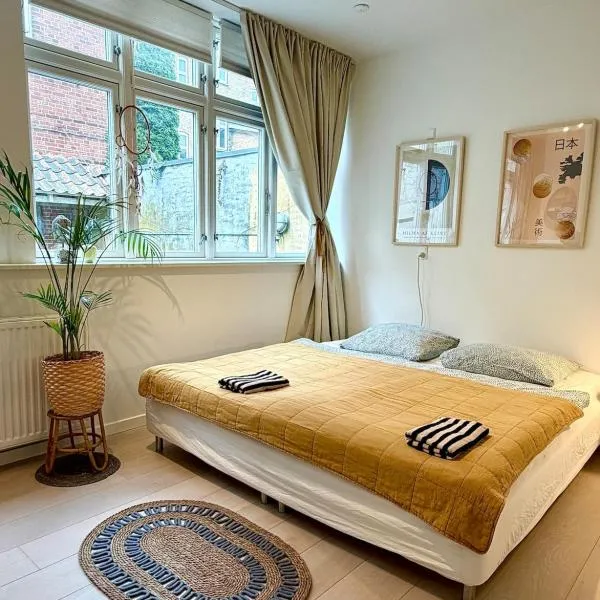 Charming city apartment in the heart of Aarhus，位于奥胡斯的酒店