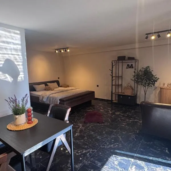 My Wellness Ferienwohnung，位于布莱的酒店