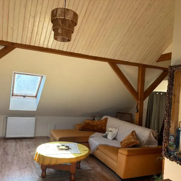 Apartament 2-pokojowy, z atrakcjami dla dzieci，位于Kolonia Salnia的酒店