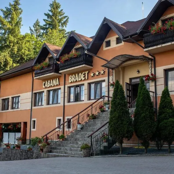 Pensiune Cabana Bradet，位于Şimleu Silvaniei的酒店