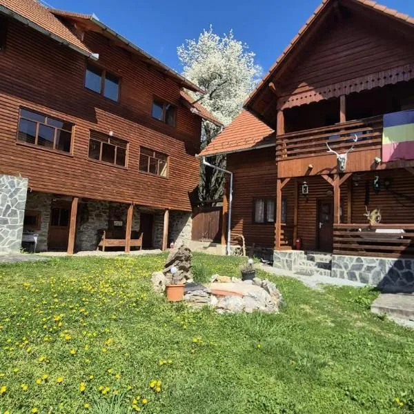Pensiunea codru,位于Sălciua de Jos的酒店