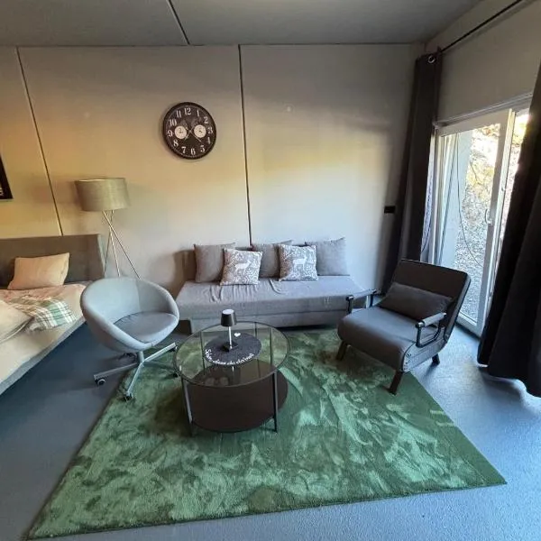 Appartement Weiskopf，位于塞费尔德附近赖特的酒店