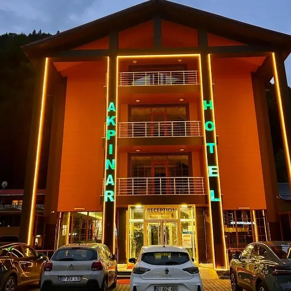 阿克珀纳尔酒店，位于乌宗的酒店