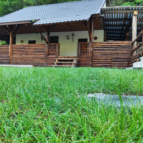 River Haus，位于Călineşti的酒店