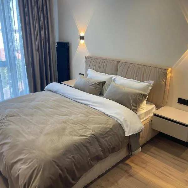 Evicons Residence，位于基希讷乌的酒店