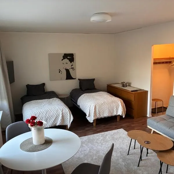 Modern City Apartment with Hästens Beds，位于许温凯的酒店