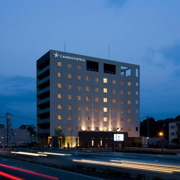 熊本机场光芒菊阳酒店，位于大洲的酒店