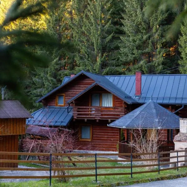 Alpine Chalet - Ski & Lake Belis，位于贝利什的酒店