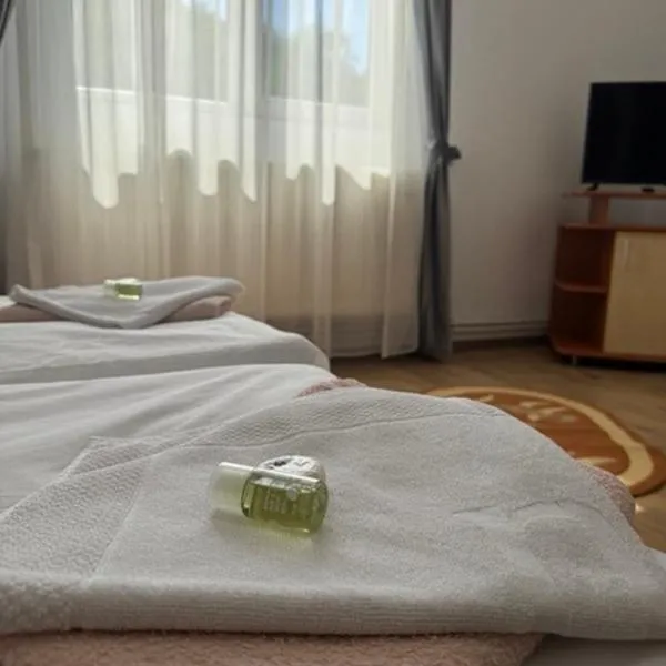 Motel Vatra Bunătăților,位于布雷佐伊的酒店