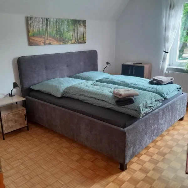 Ferienwohnung am Schloss，位于德伦施泰因富特的酒店