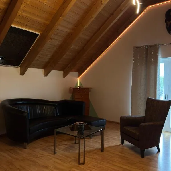 Loft in Fischbach bei Kallmünz，位于卡尔明茨的酒店