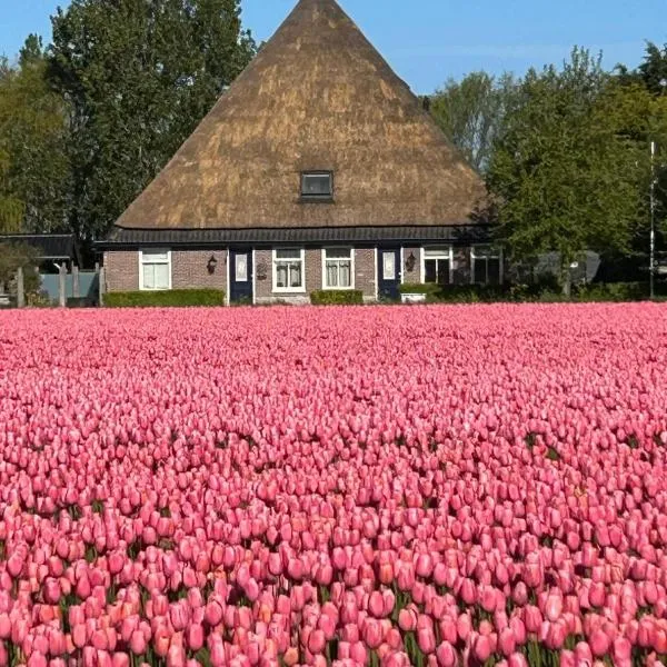 B&B Idylle aan Zee incl 2 Wellnessstudios，位于Sint Maartensvlotbrug的酒店