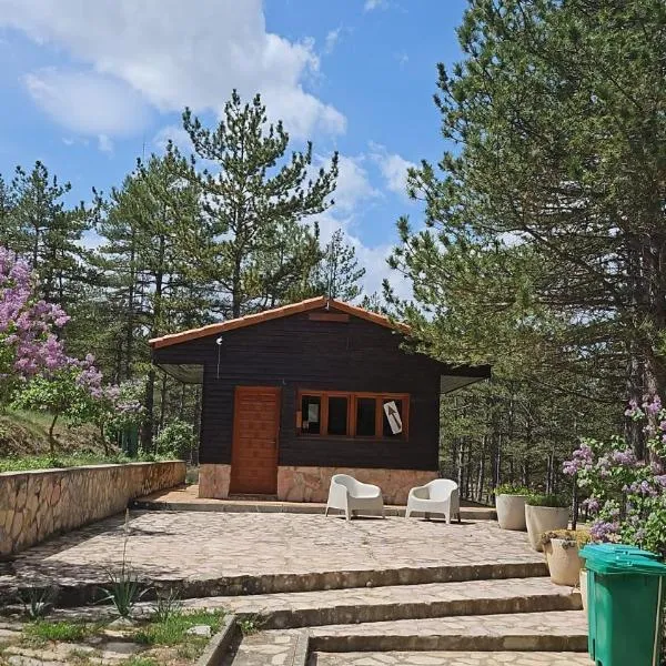 Camping Las Cabañas,位于Martín del Río的酒店