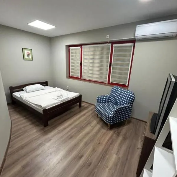 Апартамент за гости КРИСИ - Apartment for rent KRISI，位于维丁的酒店
