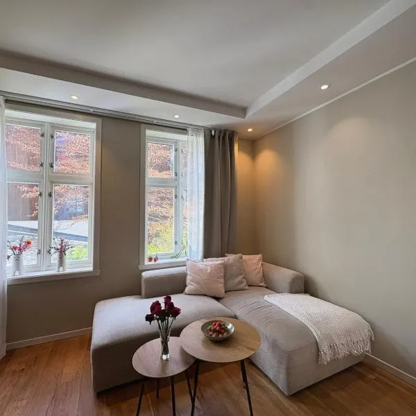 Super central and cozy apartment in Bergen，位于卑尔根的酒店