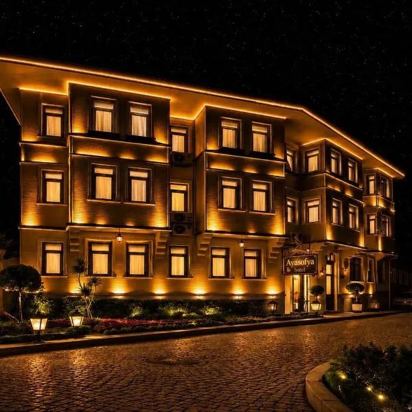 Ayasofya Hotel - Special Class，位于伊斯坦布尔的酒店