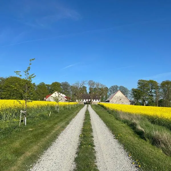Roslövs gård B&B，位于Flyinge的酒店