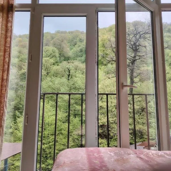 Riviera Guesthouse，位于迪利然的酒店
