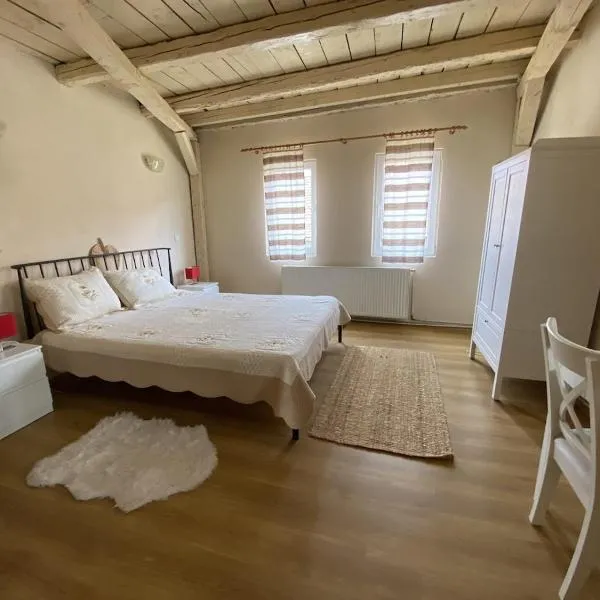 Fântânele Vacation Home, Charming Rustic Home，位于Fîntînele的酒店
