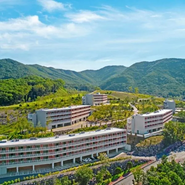 Belle Fore Resort，位于Jeungpyeong的酒店