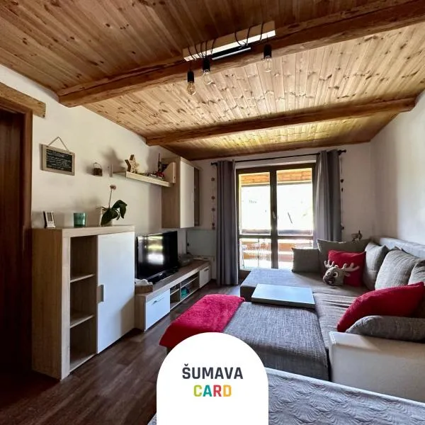 Apartmán s výhledem na Jezerní stěnu - ŠUMAVA CARD，位于泽勒兹纳·鲁达的酒店