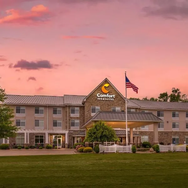 Comfort Inn & Suites Dover,位于Dover的酒店