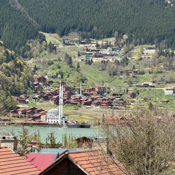 My Home Uzungöl，位于乌宗的酒店