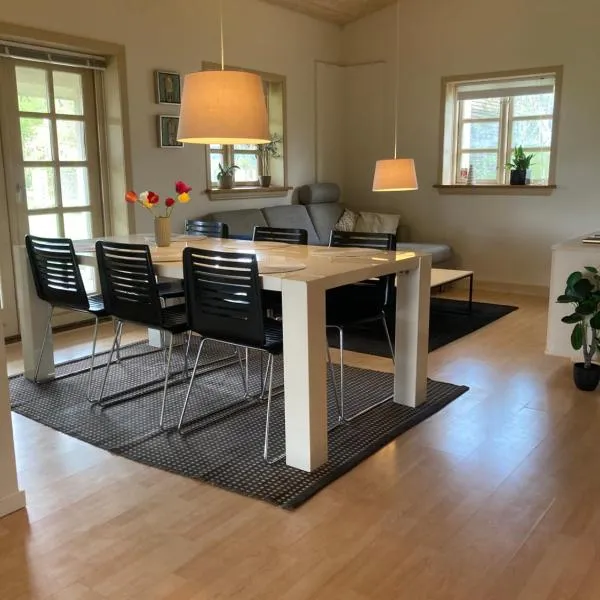 Skøn lejlighed til 4 personer，位于安斯艾厄的酒店