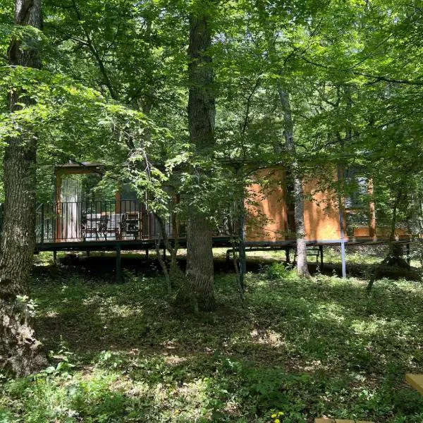 Nina's winery forest house in Kiketi，位于第比利斯的酒店