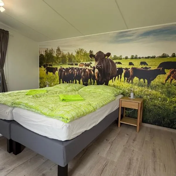 Camping Mitrov，位于Strážek的酒店