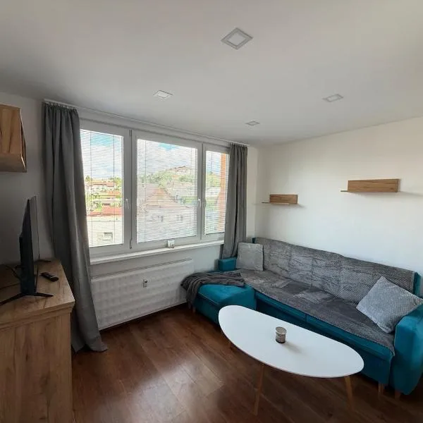 Modern stylish apartment，位于普列维扎的酒店