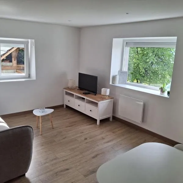Appartement vue lac Léman,位于吕格兰的酒店