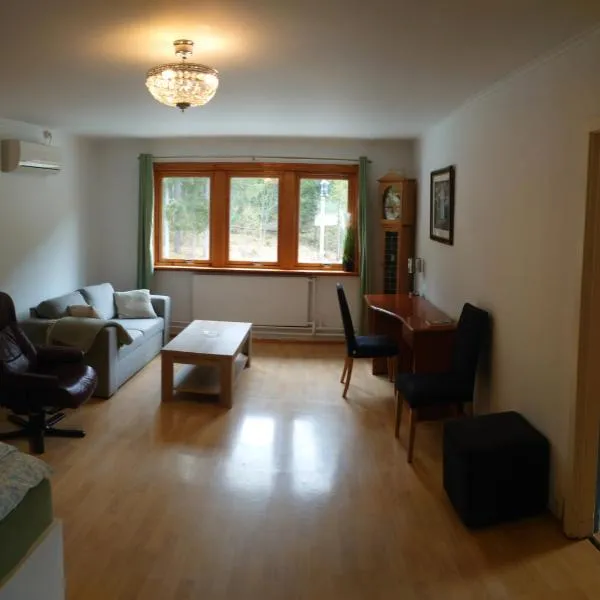 Two bedroom Apartment 80m2 2nd floor,位于Bagn的酒店