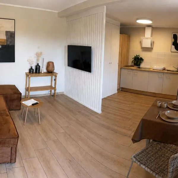 Arenda Apartamenty&Domki całoroczne，位于谢拉库夫的酒店