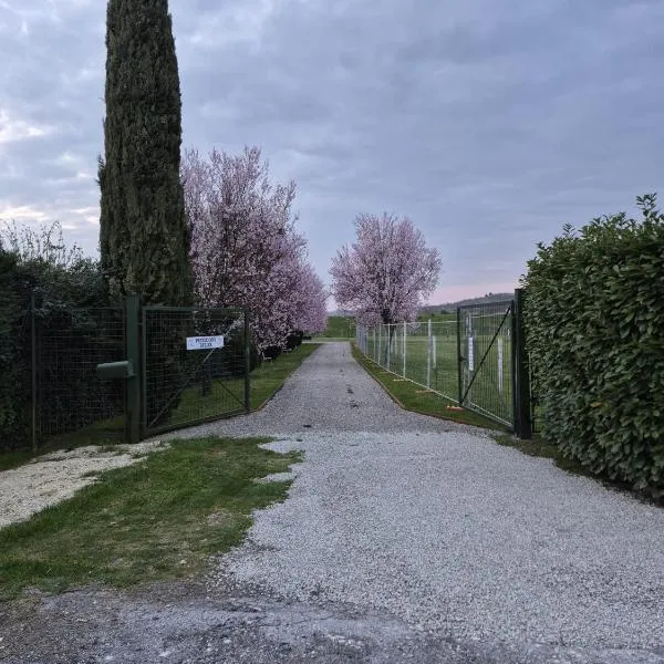 B&B Pizziconi Relax，位于Podere Modello的酒店