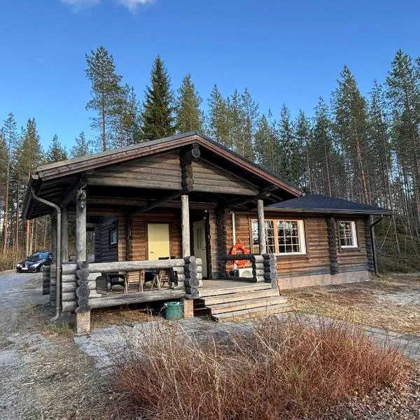 Kalliorinteen Mökit Lehtipirtti，位于特于塞的酒店