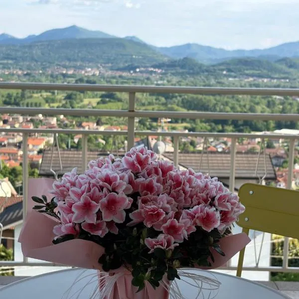 Un balcone sulla Valle di Susa, Fiori e Frutti，位于Almese的酒店