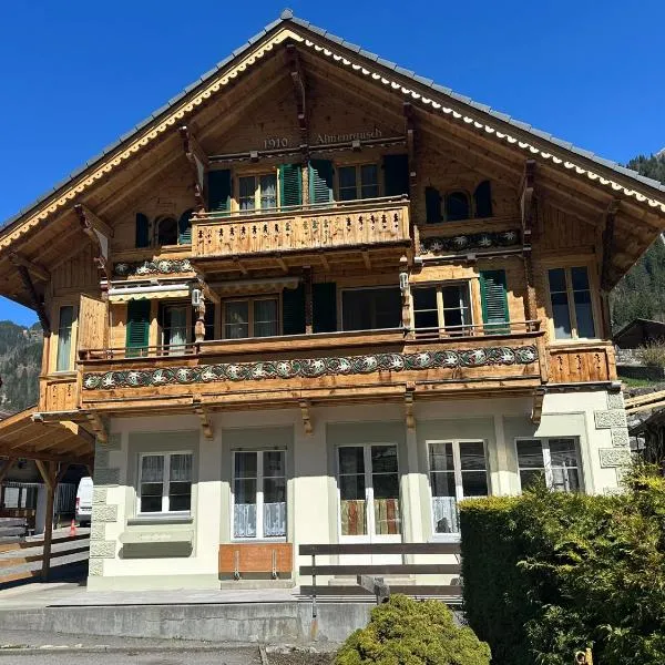 Lauterbrunnen Beautiful Staubbach apartment in a charming Chalet，位于劳特布龙嫩的酒店