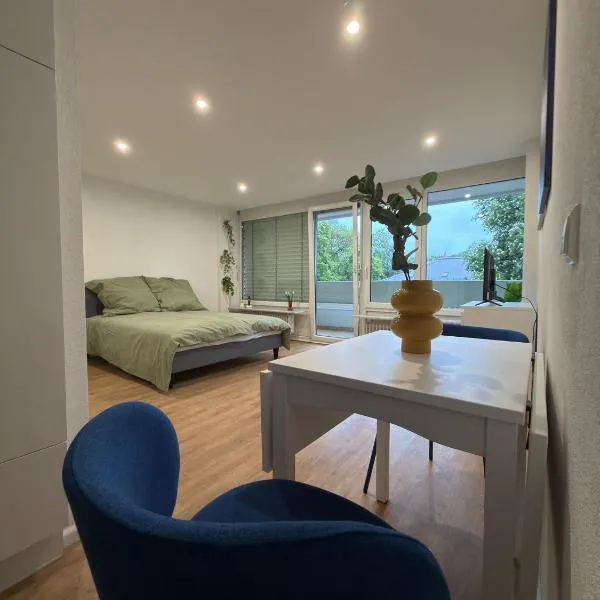 City Apartment，位于罗拉赫的酒店