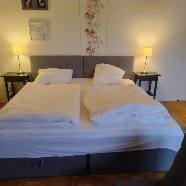Geräumiges Appartment Nahe Hannover Messe,位于帕滕森的酒店