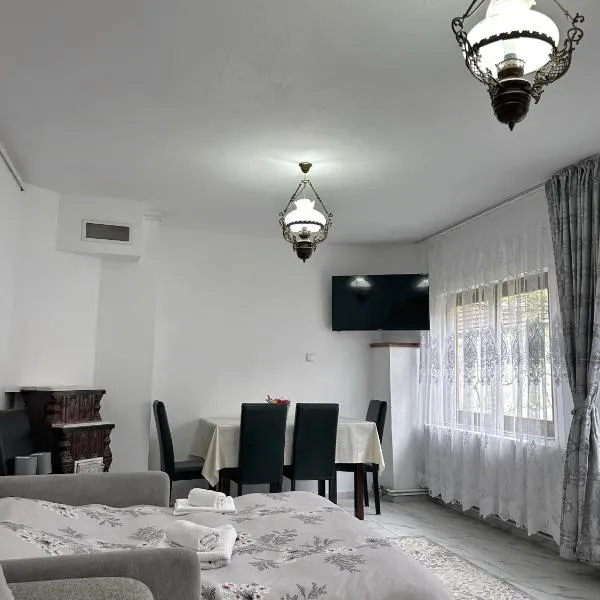 Casa Adina Sibiel，位于思贝儿的酒店
