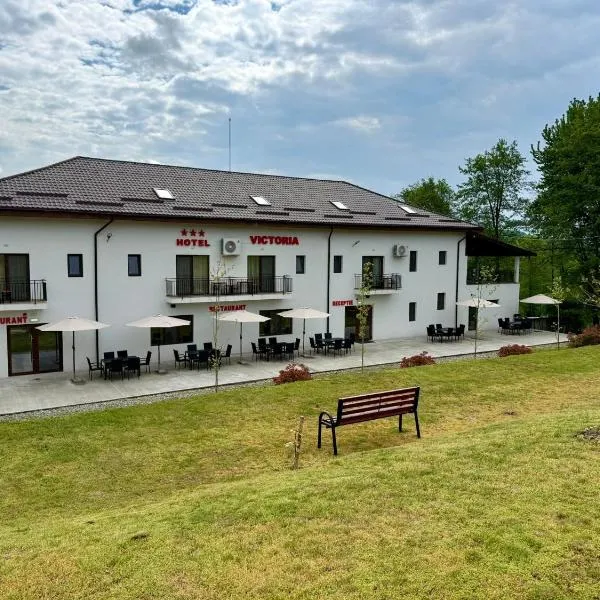 Hotel Victoria，位于默尔德雷什蒂的酒店