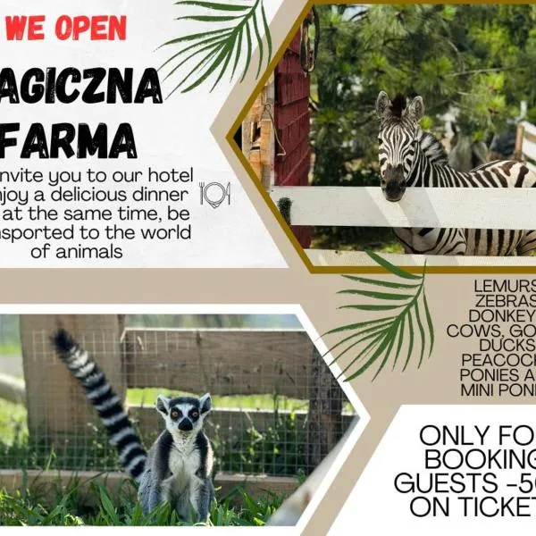 Magiczna Farma Hotel Obiady Mąka i Magia，位于赞布鲁夫的酒店
