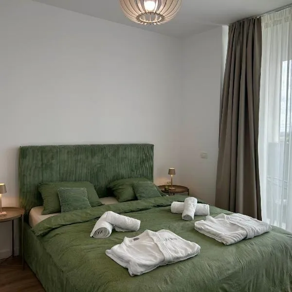 V'One - Cozy & Quiet Apartment - Free Parking，位于蒂米什瓦拉的酒店