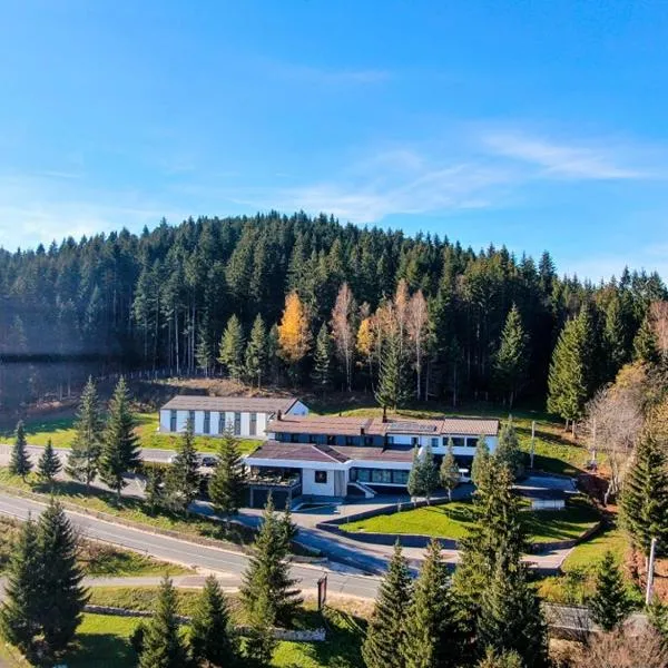 Hotel Forest，位于帕莱的酒店