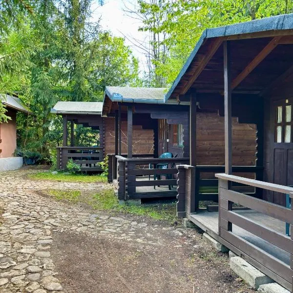 Bungalow Camping Edelweiss - Floare de colt - Gyopár，位于里梅泰亚的酒店