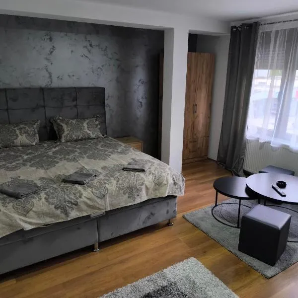 R & P Apartman 3 Mladenovac，位于姆拉代诺瓦茨的酒店