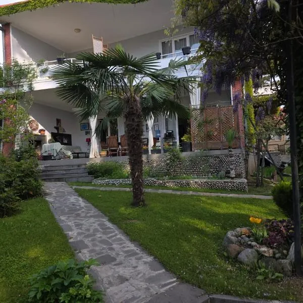 Neli & Zaal Guest House，位于泰拉维的酒店